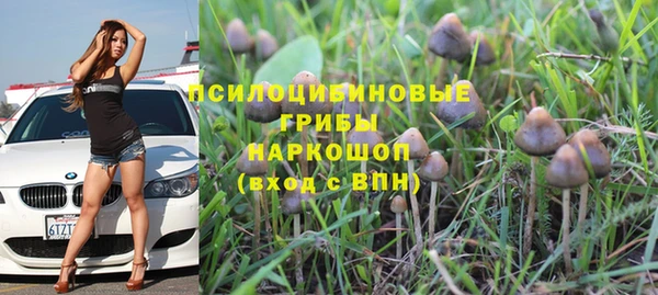 трава Аркадак