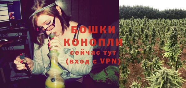 трава Аркадак