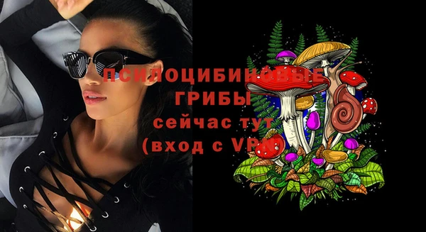 мескалин Арсеньев