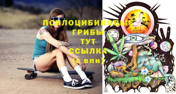 мескалин Арсеньев
