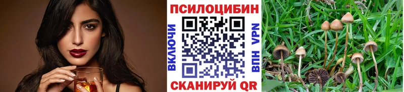 Галлюциногенные грибы Magic Shrooms Николаевск-на-Амуре
