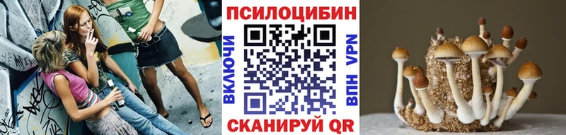 Псилоцибиновые грибы GOLDEN TEACHER  Николаевск-на-Амуре 